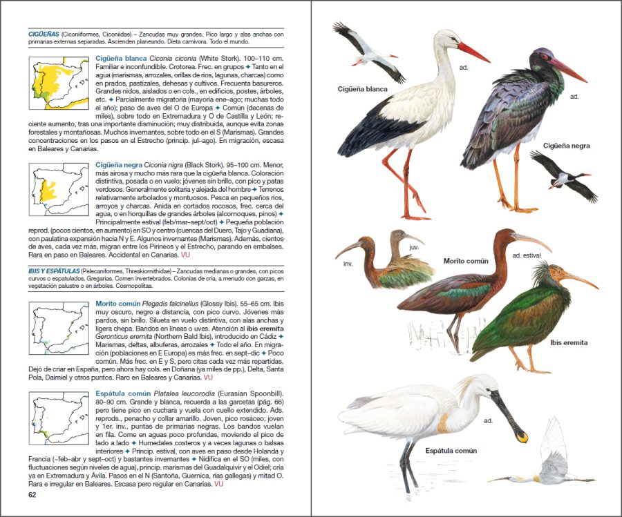 Aves de España sample page